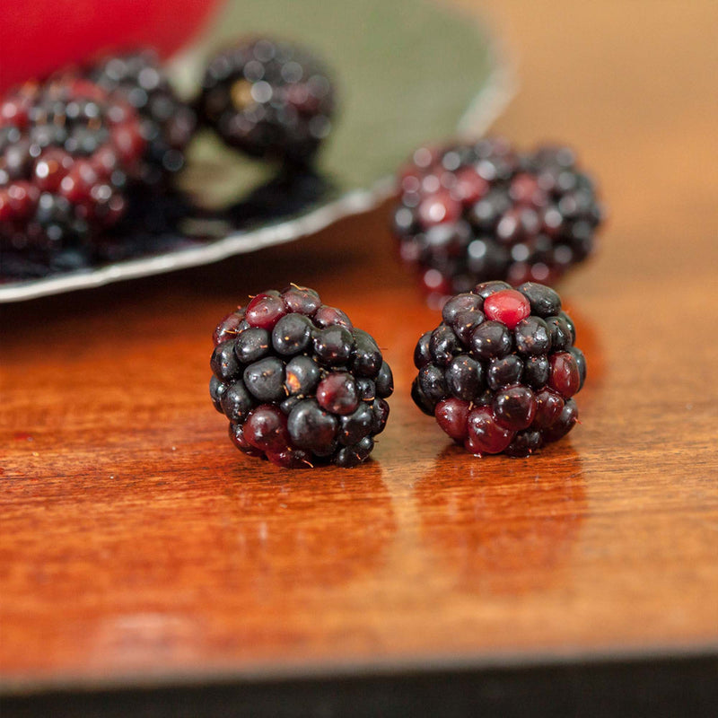 Triple Crown Blackberry Bush