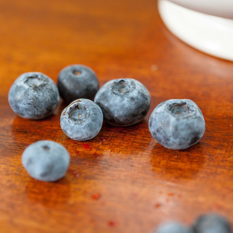 Powder Blue Blueberry Bush