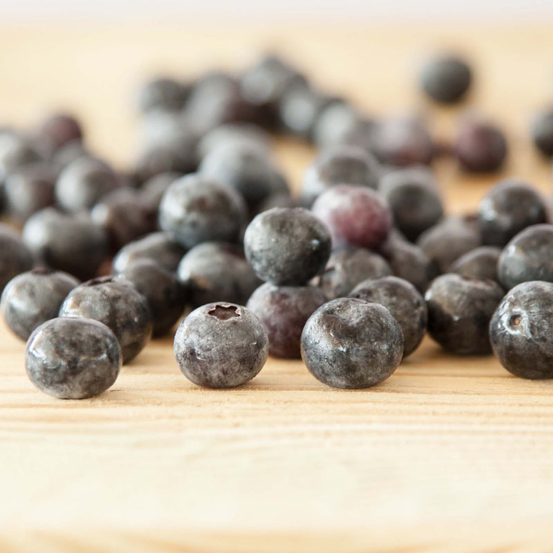 Powder Blue Blueberry Bush