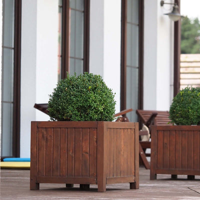 Sprinter Boxwood