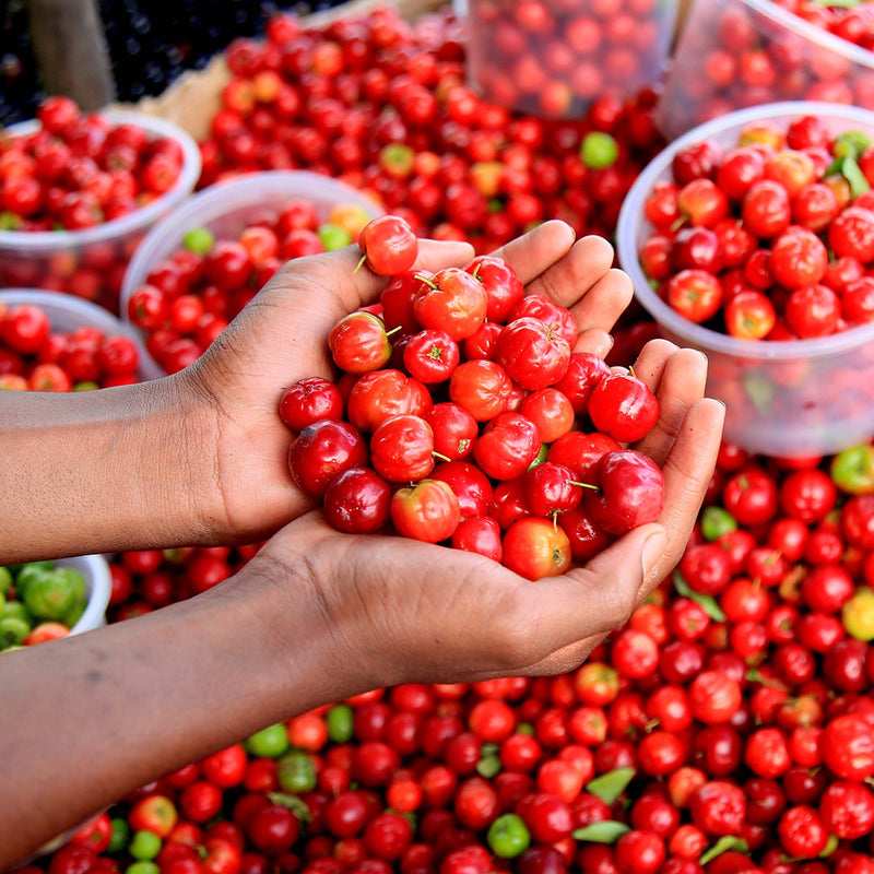 Barbados Cherry