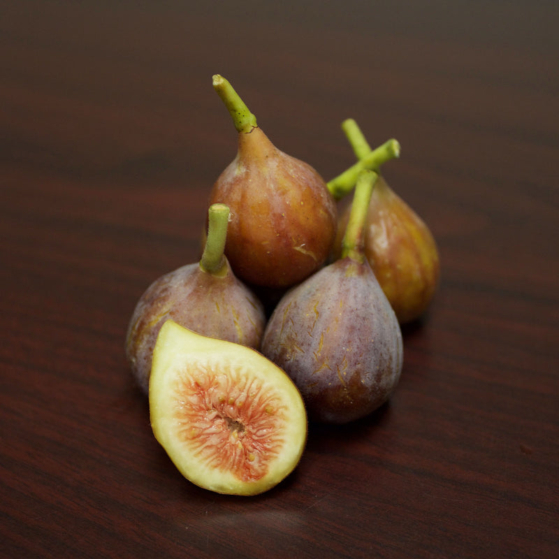 Brown Turkey Fig Tree