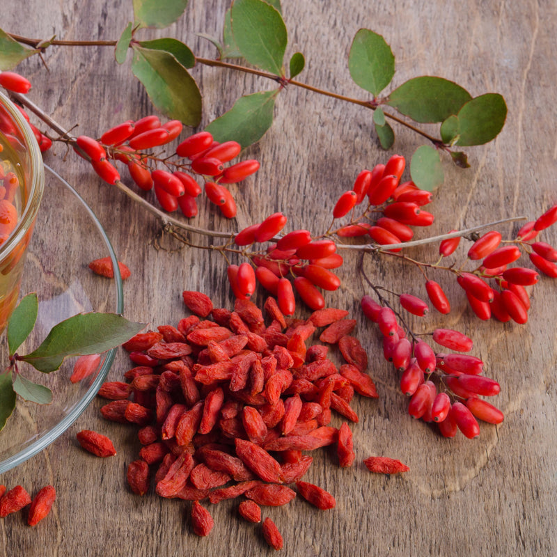 Goji Berry