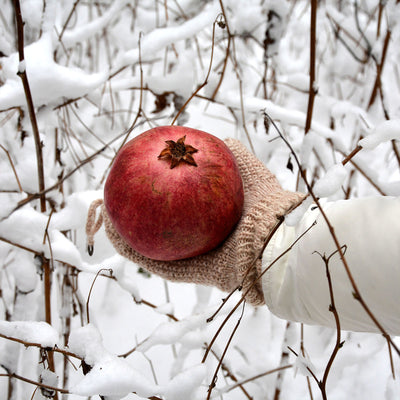 Cold Hardy Russian Pomegranate