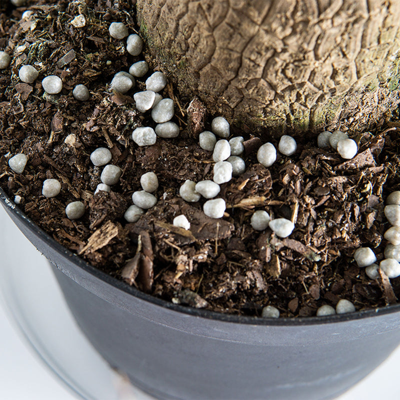 Slow Release Fertilizer