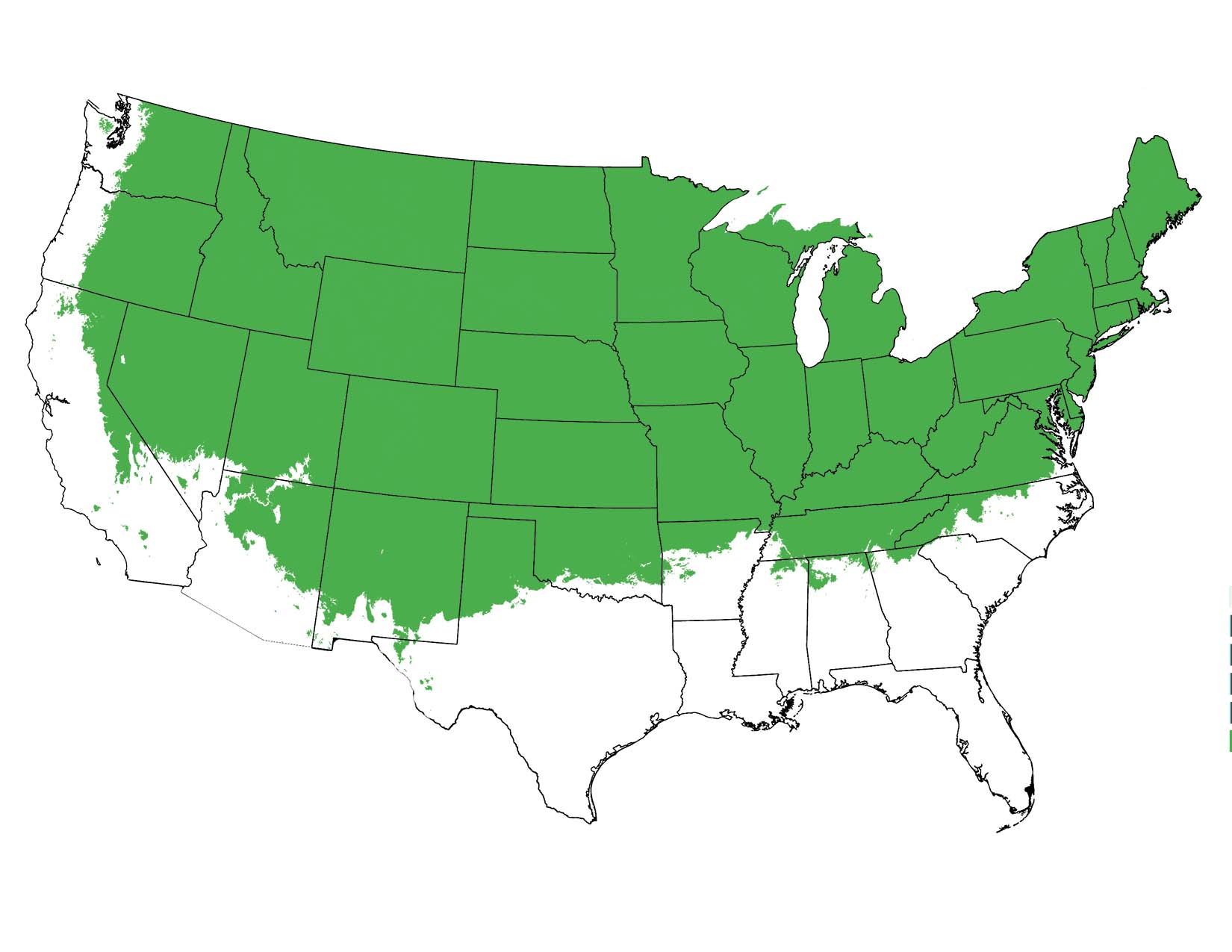 map-img